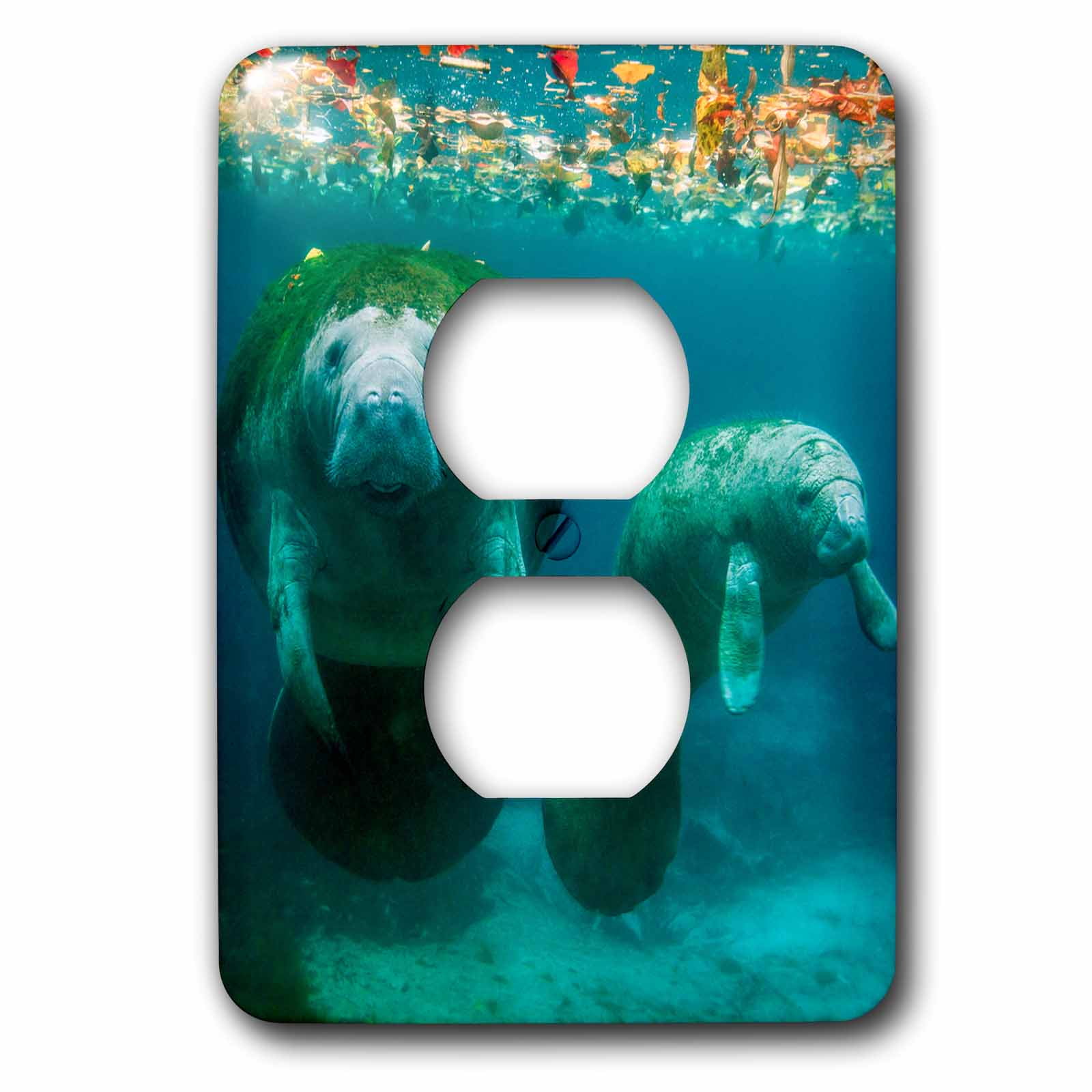 3dRose, Mother manatee with her calf in Crystal River, Florida, 2 plug outlet cover