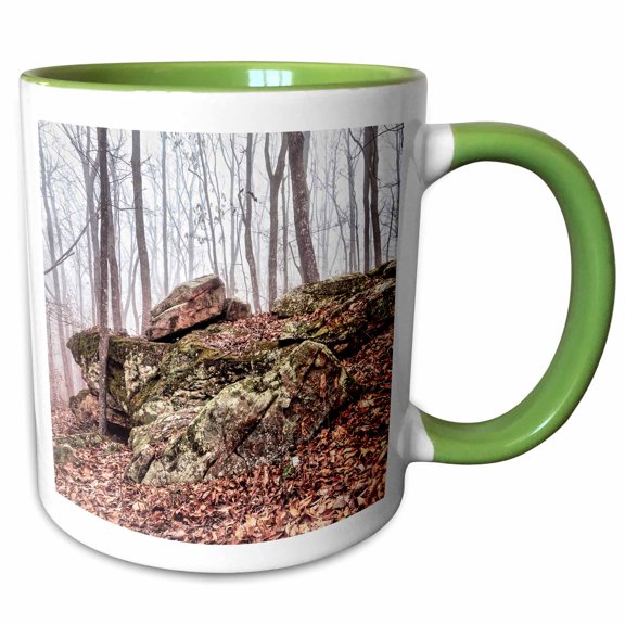 3drose, Mound of Mossy Boulders in Monte Sano State Park, 11oz Two-tone Green Mug