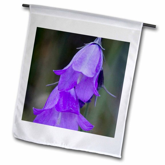 3dRose, Mountain Harebell, blue Harebell flowers - NA01 FZU0002 - Frank Zurey, 12 x 18 inch Garden Flag