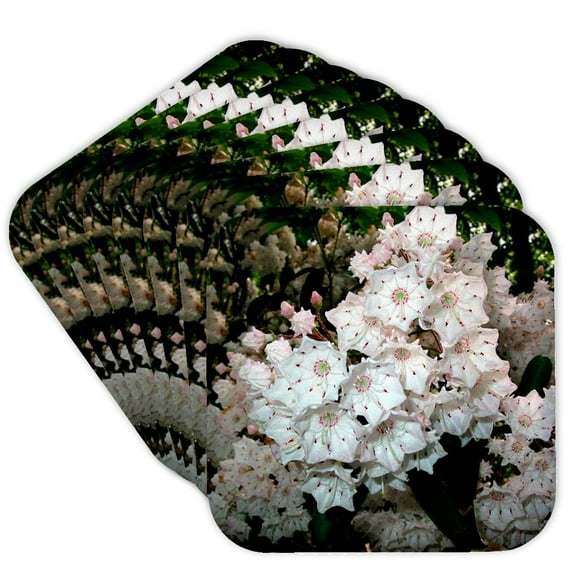 3drose, Mountain Laurel, Set of 8 Coasters - Soft