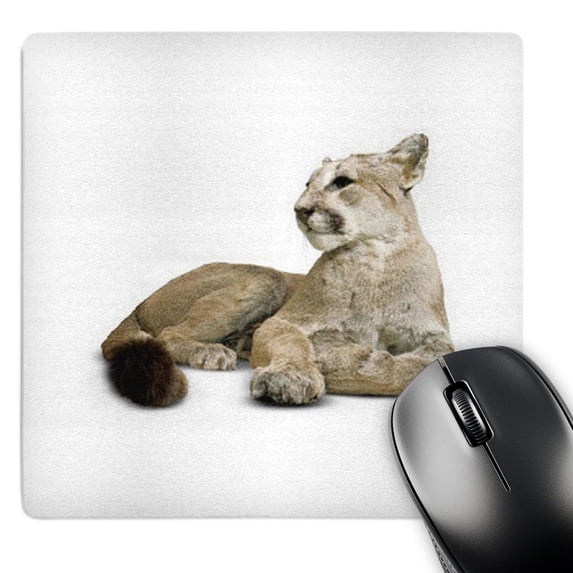 3dRose, Mountain Lion Cat , MousePad