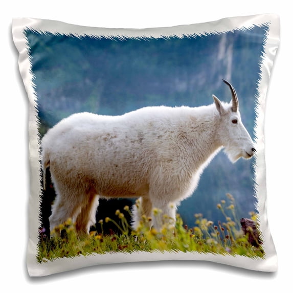 3dRose, Mountain goat, Waterton Glacier Peace Park - US27 RKL0008 - Raymond Klass, 16x16 inch Pillow Case