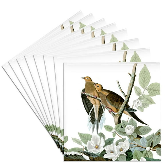 3dRose, Mourning Dove Love Audubon Birds Romantic Doves Vintage Art Print, Set of 8 Ceramic Tile Coasters