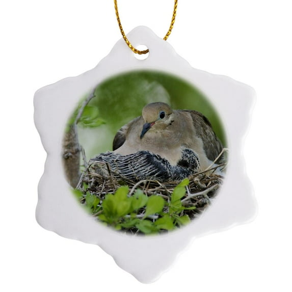 3drose, Mourning Dove, Bird, Rio Grande Valley, Texas - Na02 Rnu0193 - Rolf Nussbaumer, 3 inch Snowflake Porcelain Ornament