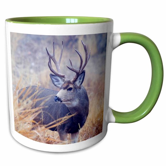 3drose, Mule Deer Buck, Foggy Frosty Morning, 11oz Two-tone Green Mug