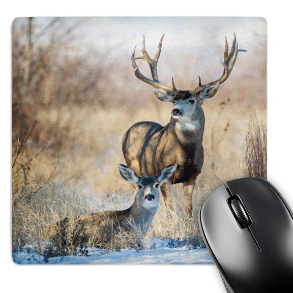 3dRose, Mule Deer, Odocoileus hemionus, buck and doe bedded, MousePad