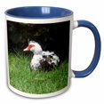thumbnail image 1 of 3drose, Muscovy Duck Lake Ella Tallahasse Florida, 15oz Two-tone Blue Mug, 1 of 6
