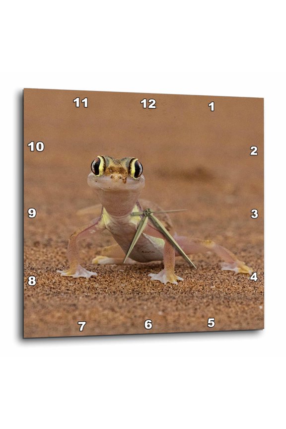 , Namib Web Footed Sand Gecko, 10x10 Wall Clock