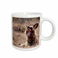 thumbnail image 1 of 3drose, Namibia, Harnas Wildlife, African Wild Dog Wildlife-af31 Bja0359 - Janyes Gallery, 11oz Mug, 1 of 6