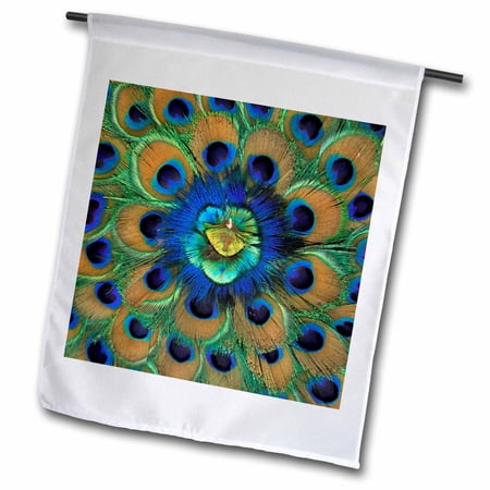 3dRose, Natural Peacock Feather Patterns, -AS10 DFR0096 - David R. Frazier, 12 x 18 inch Garden Flag