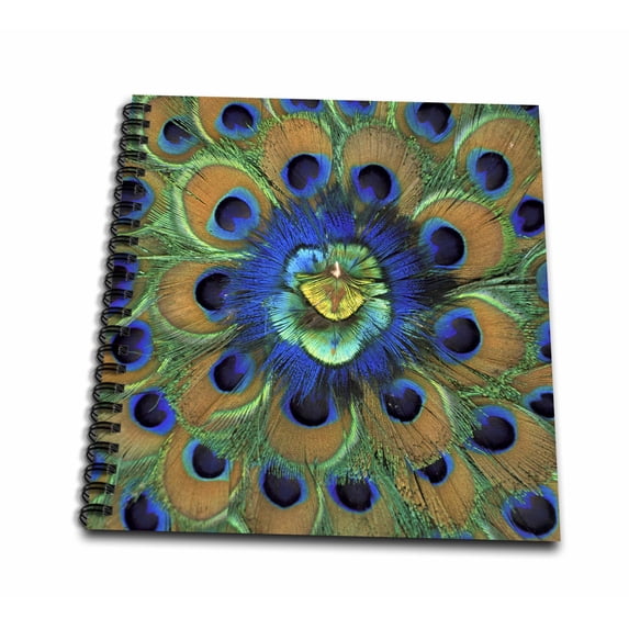 3dRose, Natural Peacock Feather Patterns, -AS10 DFR0096 - David R. Frazier, Drawing Book 8 x 8 inch