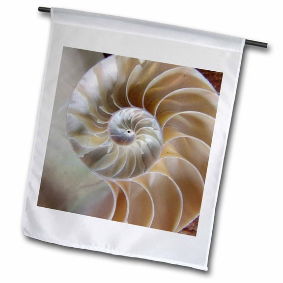 3dRose, Nautilus Shell, 12 x 18 inch Garden Flag