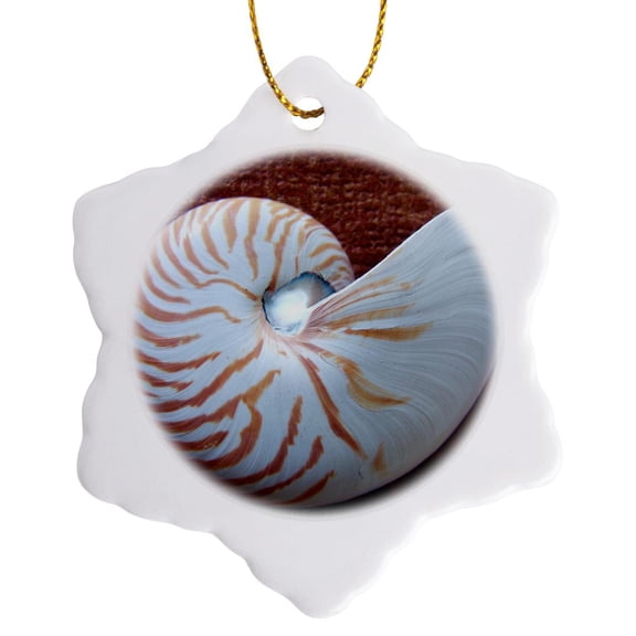 3drose, Nautilus Shell Ii, 3 inch Snowflake Porcelain Ornament