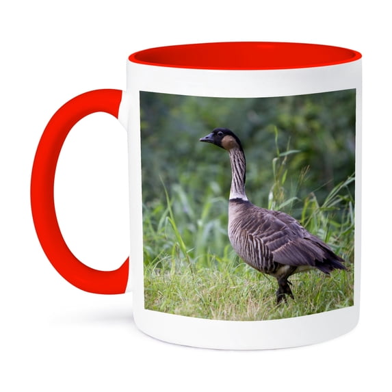 3dRose, Nene Hawaiian Goose, bird, Kauai, Hawaii, USA - US12 DFR0128 - David R. Frazier, 11oz Two-Tone Red Mug
