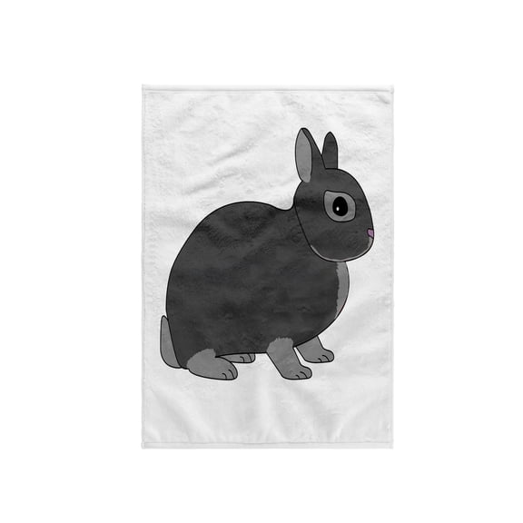 3dRose, Netherland Dwarf Rabbit Silver Grey, 15x22 Hand Towel
