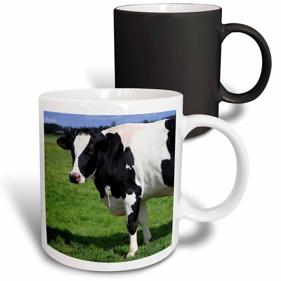 3drose, Netherlands, North Holland. Dutch Cows in Field., 11oz Magic Transforming Mug