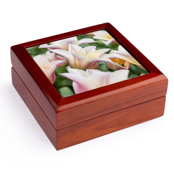 3dRose, Netherlands, South Holland, Lisse. Pale colored tulips in a garden., Jewelry Box 5.5x5.5 inch with 4 inch tile