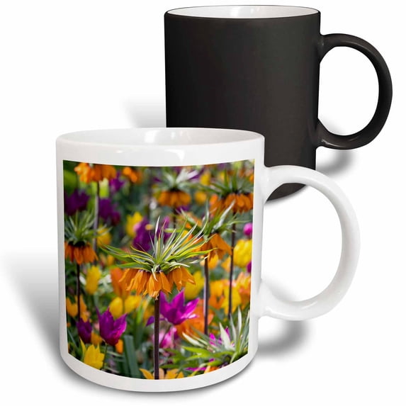 3drose, Netherlands, South Holland. Multi-colored Flowers in a Formal Garden., 11oz Magic Transforming Mug