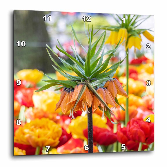 3drose, Netherlands, South Holland. Orange, Red and Yellow Flowers in Garden., 10x10 Wall Clock