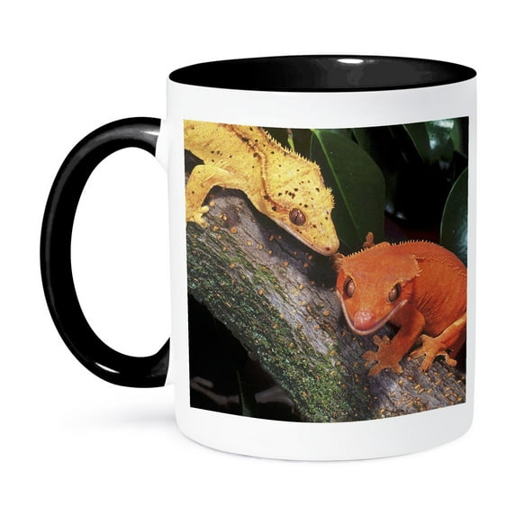3dRose, New Caledonia Crested Geckos, lizard - NA02 DNO0243 - David Northcott, 11oz Two-Tone Black Mug