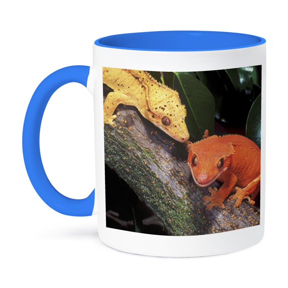 3dRose, New Caledonia Crested Geckos, lizard - NA02 DNO0243 - David Northcott, 15oz Two-Tone Blue Mug