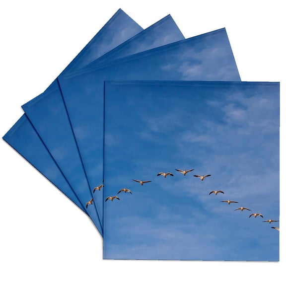 3dRose, New Mexico, Bosque Del Apache NWR, Snow Geese Flying in a V Pattern, Set of 4 Ceramic Tile Coasters