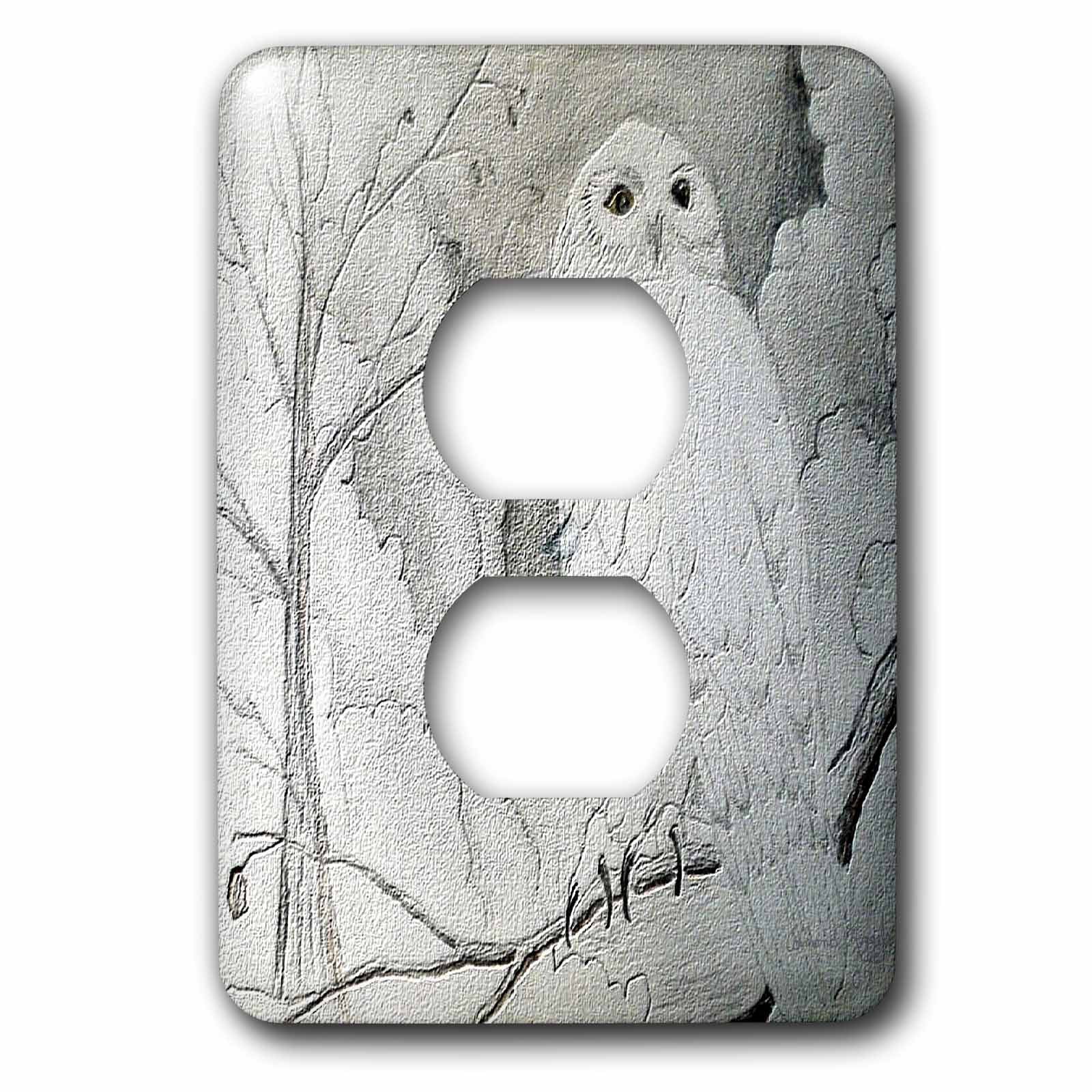 3dRose, Night Owl, 2 plug outlet cover