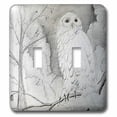thumbnail image 1 of 3dRose, Night Owl, double toggle switch, 1 of 1
