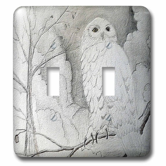 3dRose, Night Owl, double toggle switch