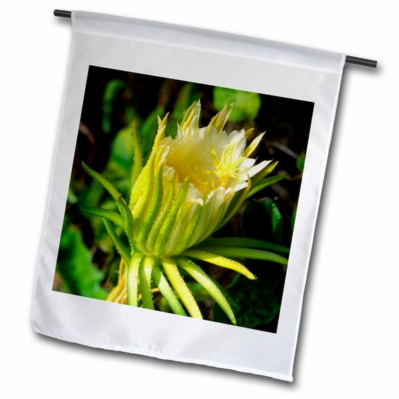 3dRose, Night blooming cereus flower - NA01 DPB0026 - Douglas Peebles, 12 x 18 inch Garden Flag