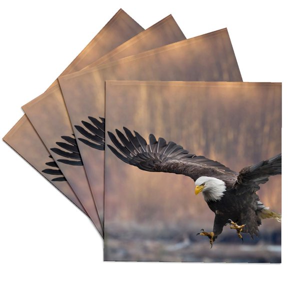3dRose, Nooksack River, Washington State, USA. Bald Eagle landing., Set of 4 Ceramic Tile Coasters