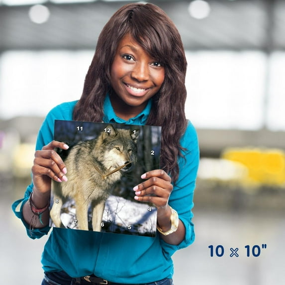 3dRose, North America, USA, Minnesota. Wolf (Canis lupus) - US24 GJE0011 - Gavriel Jecan, 10x10 Wall Clock