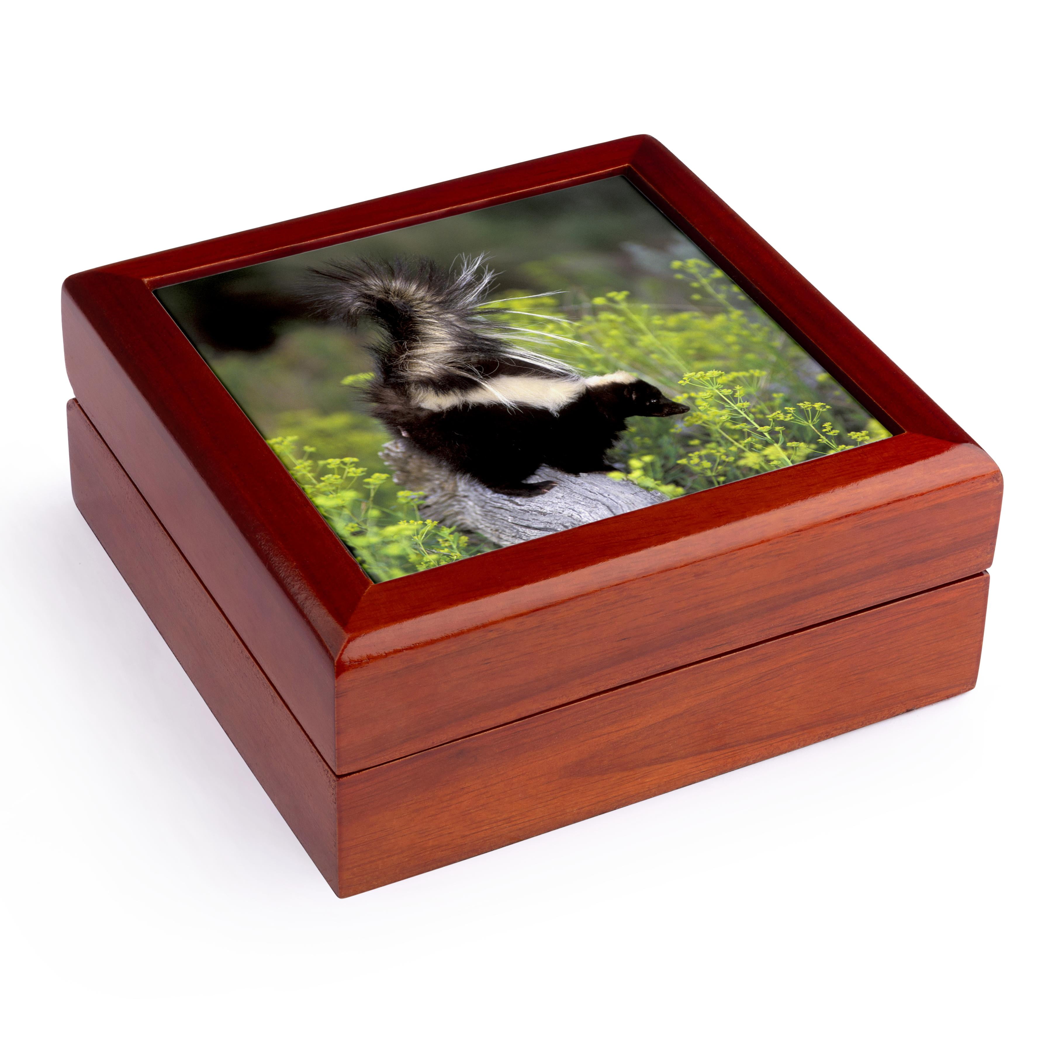 3dRose, North America, USA, Montana. Skunk wildlife - US27 TVE0004 - Tom Vezo, Jewelry Box 5.5x5.5 inch with 4 inch tile