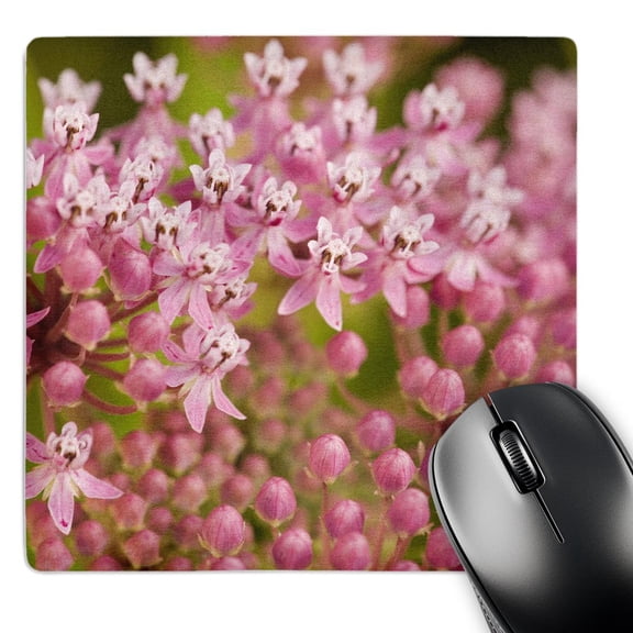 3dRose, North Carolina, Swamp milkweed flora - US33 JWL0002 - Joanne Wells, MousePad