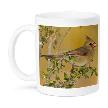 3dRose, Northern Cardinal female bird perched on branch - US44 LDI0562 - Larry Ditto, 11oz Mug