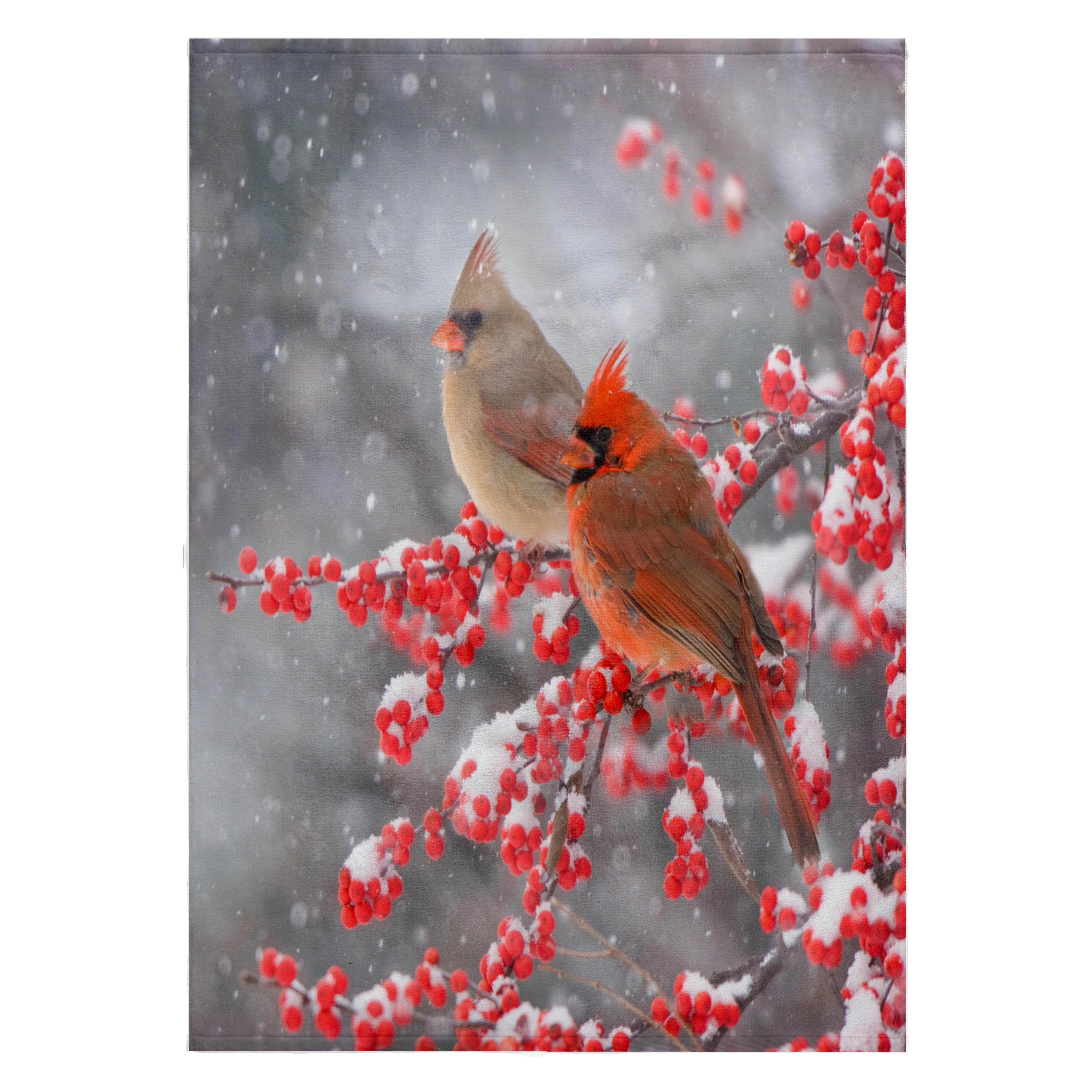 3dRose, Northern Cardinals in Common Winterberry bush, Marion Co. IL, 22x30 Bath Hand Pool Towel