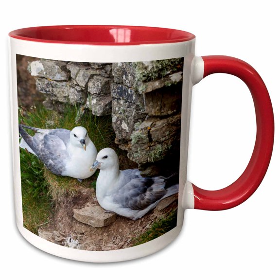 3drose, Northern Fulmar, Noup Head on Westray, Orkney, Scotland., 11oz Two-tone Red Mug