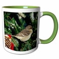 thumbnail image 1 of 3drose, Northern Mockingbird in Decorated Fir Tree in Winter, 11oz Two-tone Green Mug, 1 of 6