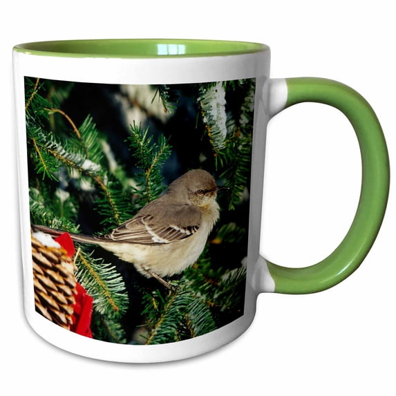 3drose, Northern Mockingbird in Decorated Fir Tree in Winter, 11oz Two-tone Green Mug