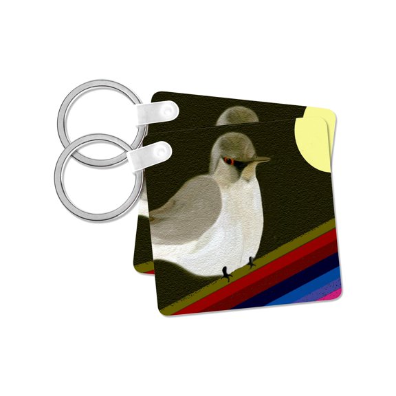 3dRose, Northern Mockingbird, set of 2 Key Chains