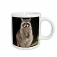 thumbnail image 1 of 3drose, Northern Raccoon Wildlife, Hill Country, Texas - Na02 Rnu0710 - Rolf Nussbaumer, 11oz Mug, 1 of 6