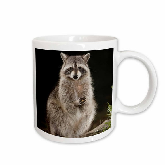 3drose, Northern Raccoon Wildlife, Hill Country, Texas - Na02 Rnu0710 - Rolf Nussbaumer, 11oz Mug