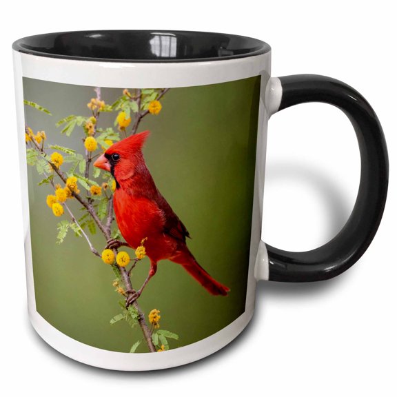3drose, Northern Cardinal Perched., 15oz Two-tone Black Mug