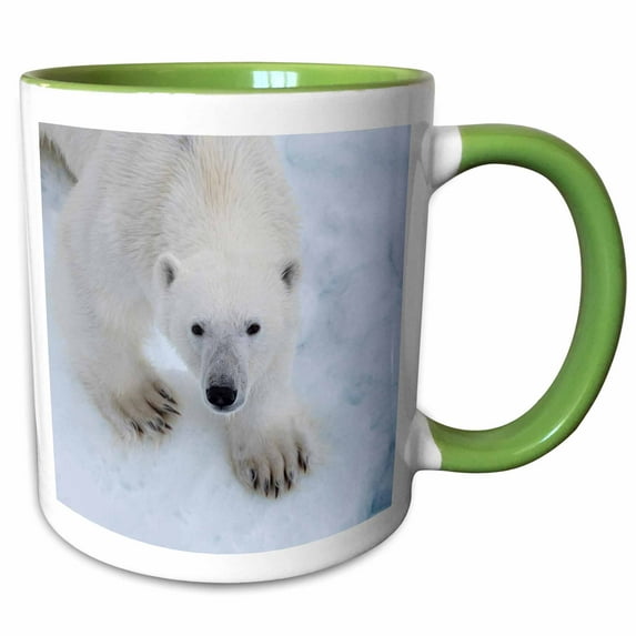 3drose, Norway, Svalbard. Close Up of Polar Bear Face and Paws., 11oz Two-tone Green Mug