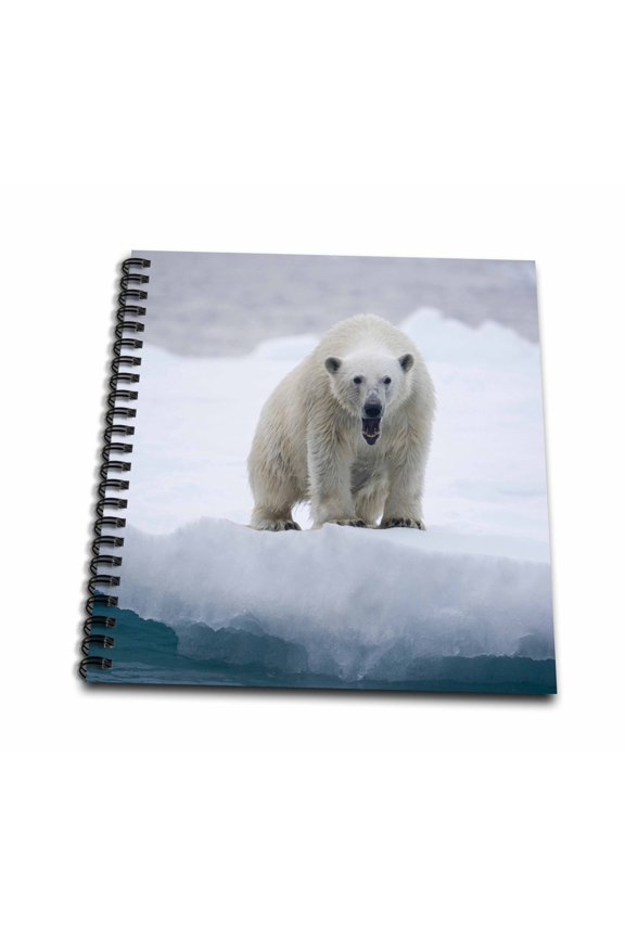 , Norway, Svalbard, Polar Bear, iceberg - EU21 PSO0325 - Paul Souders, Mini Notepad 4 x 4 inch