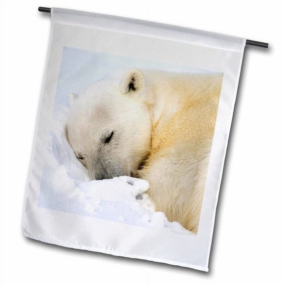 3dRose, Norway, Svalbard, Spitsbergen Island, Polar Bear - EU21 PSO0391 - Paul Souders, 12 x 18 inch Garden Flag