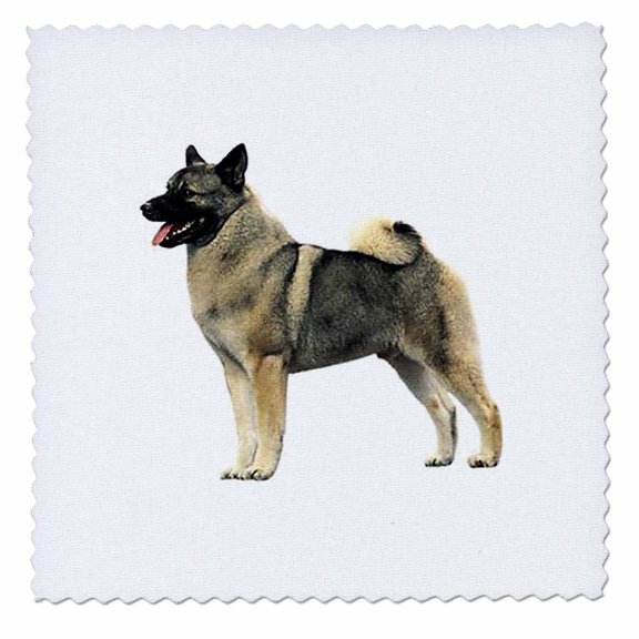 3dRose, Norwegian Elkhound, 14x14 inch quilt square