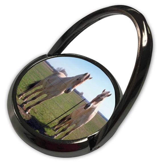 3dRose, Norwegian Fjords Pasture, Phone Ring