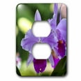 thumbnail image 1 of 3dRose, ORCHID - A, 2 plug outlet cover, 1 of 1