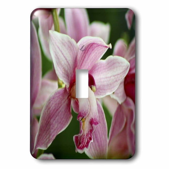 3dRose, ORCHID - B, single toggle switch